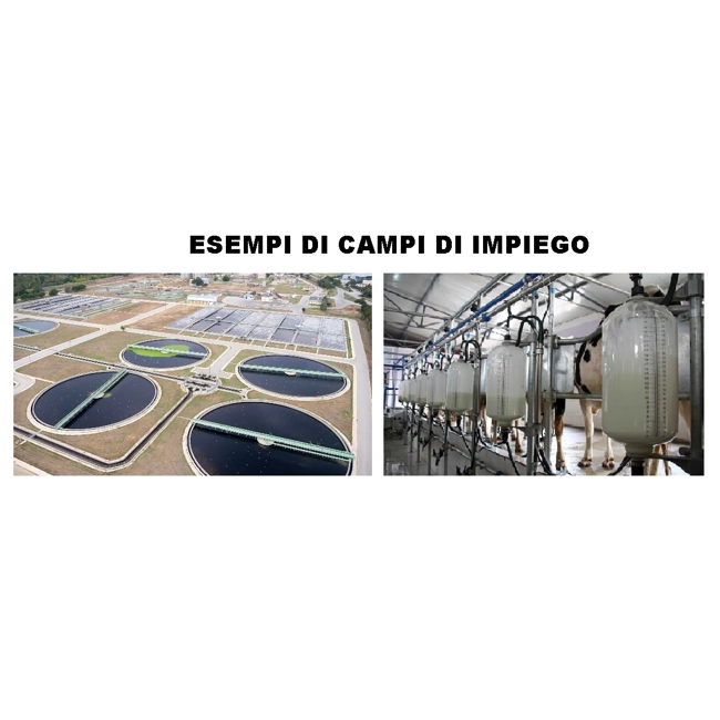Vendita online Compressore da 100 lt. C660/100